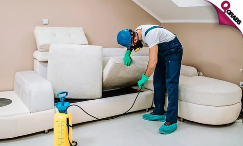 Pest Control Service!